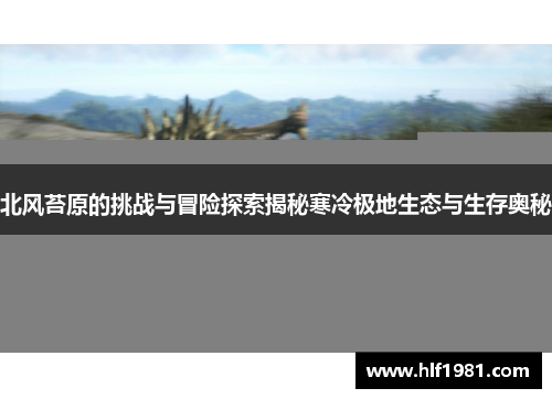 北风苔原的挑战与冒险探索揭秘寒冷极地生态与生存奥秘