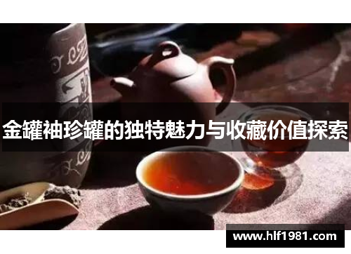 金罐袖珍罐的独特魅力与收藏价值探索